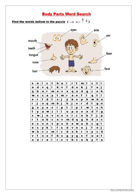 Body Parts Wordsearch English Esl Worksheets Pdf And Doc