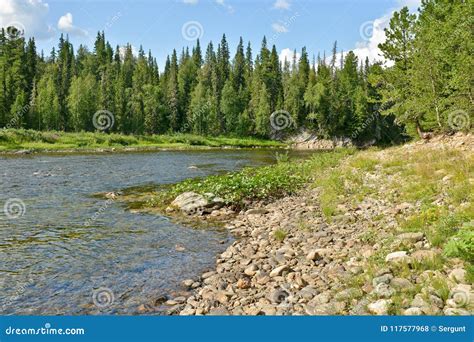 Taiga River In The Northern Urals Stock Photo Image Of Russia