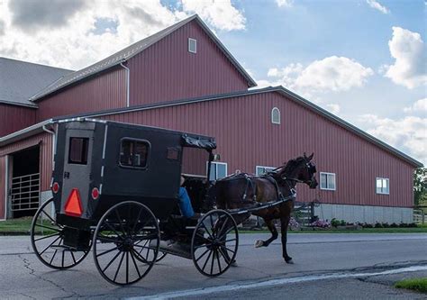 Top 30 Things To Do In Amish Country Ohio Diy Travel Hq