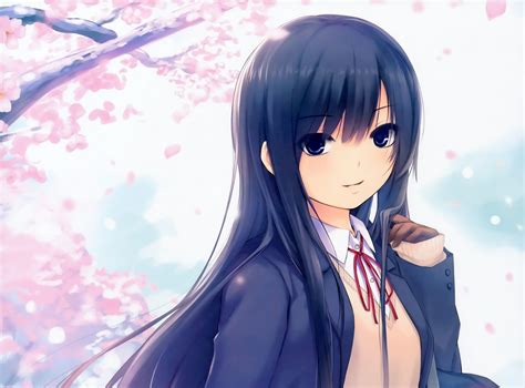 Coffee Kizoku Girl Sakura Wallpaper Hd Anime 4k Wallpapers Images And Background
