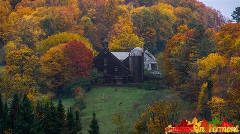 Autumn In Vermont Autumn In East Montpelier Vermont