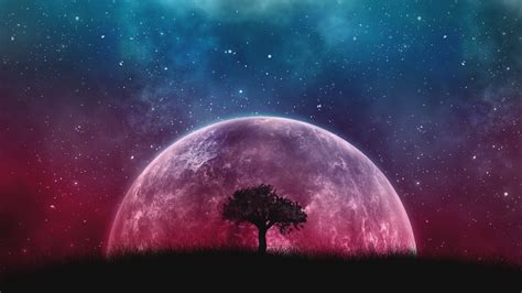 Tree Planet 3840×2160 Hd Wallpapers