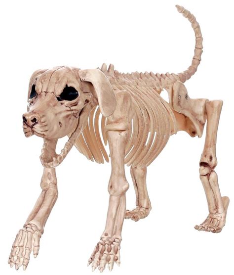 Of course he will chase away the burglars like in former times. Beagle Bonez - Crazy Bonez Skeleton Dog - Creepbay