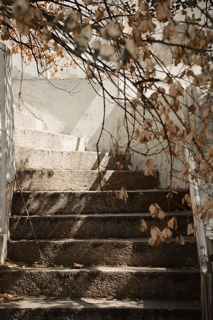 Stairs Ladder The Leaves Free Photo On Pixabay Pixabay