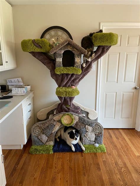 Reddit Barkitecture The Bridge Another Cat Tree I Just Finished