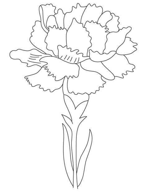 Carnation Birth Flower Coloring Page 꽃그림 수채화 벽지 카드 도안