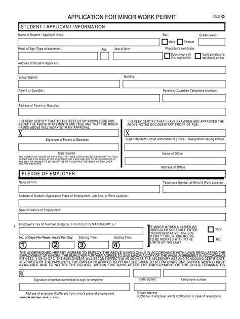 Work Permit Application Form Pdf Fill Online Printable Fillable