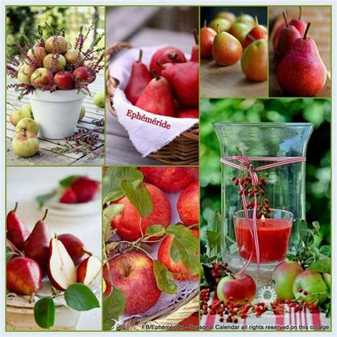 Éphéméride Seasonal Calendar I Need A Hobby Delicious Fruit Yummy