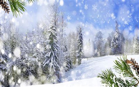 Hd Soft Winter Country Wallpaper Download Free 63962