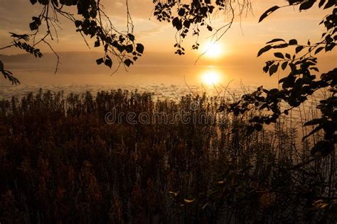 Sunrise At Foggy Lake Stock Photo Image Of Tranquil 88865398
