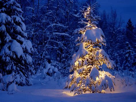 Patty P Here Tm A Beautiful Christmas And Holiday Season
