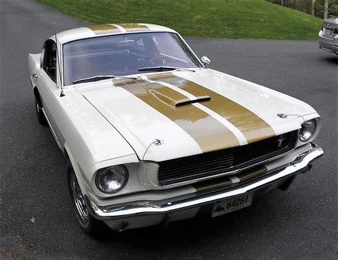 1966 Shelby Mustang Gt350h Hertz Coupe Journal