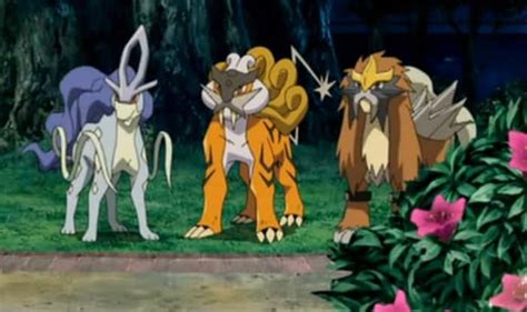 This is the place for most things pokémon on reddit—tv … Pokémon Go App Makes New Legendary Dog Trio Available to ...