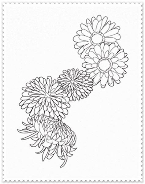 Crizanteme Planse De Colorat