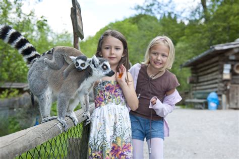 Raritätenzoo Ebbs Tirol In Österreich