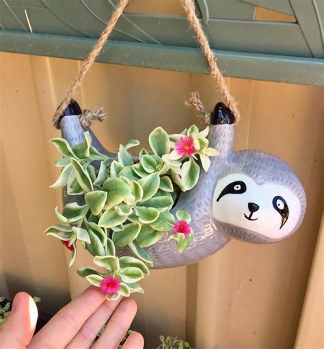 50 Creative Hanging Plants Ideas For Indoor In 2020 Hanging Plants