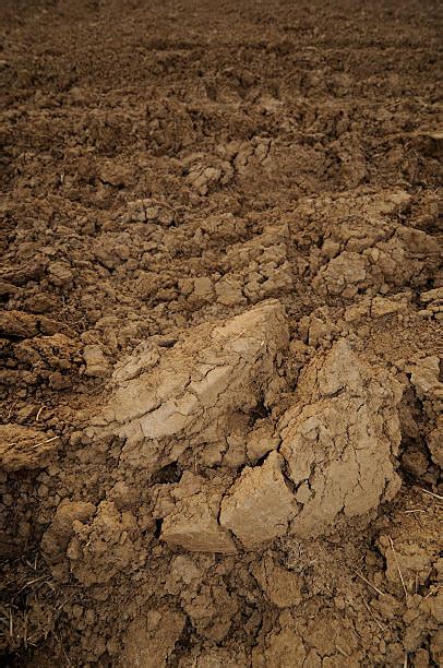 Loamy Soil Stock Photos Pictures And Royalty Free Images Istock