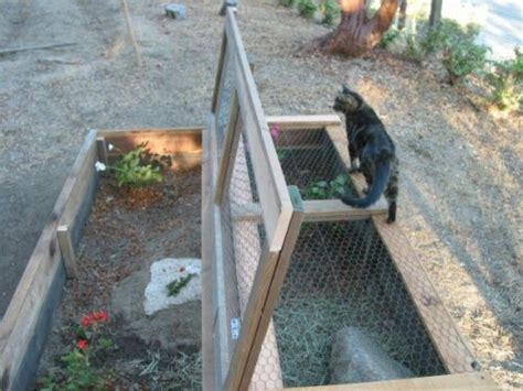 It is made of thin, flexible, galvanized steel wire with hexagonal gaps. except for the chicken wire on top and lining bottom (I ...