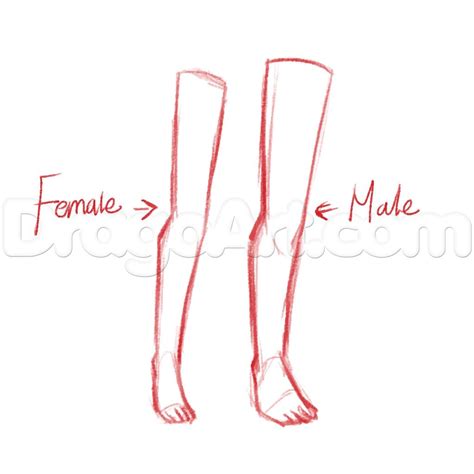 How To Draw Anime Legs Step By Step Anatomy People