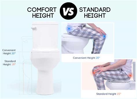 Comfort Height Vs Standard Height Toilet Find Property To Rent