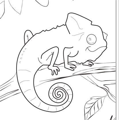 Free Animals Coloring Pages Zoo To Kids