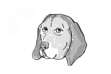 American English Coonhound Dog Breed Cartoon Retro Drawing 372920