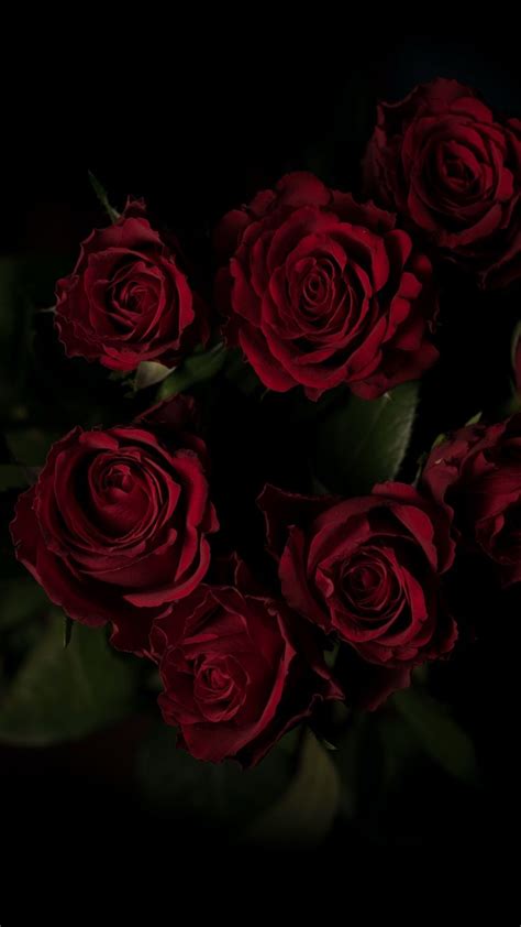 Red Roses Wallpapers 4k Hd Red Roses Backgrounds On Wallpaperbat