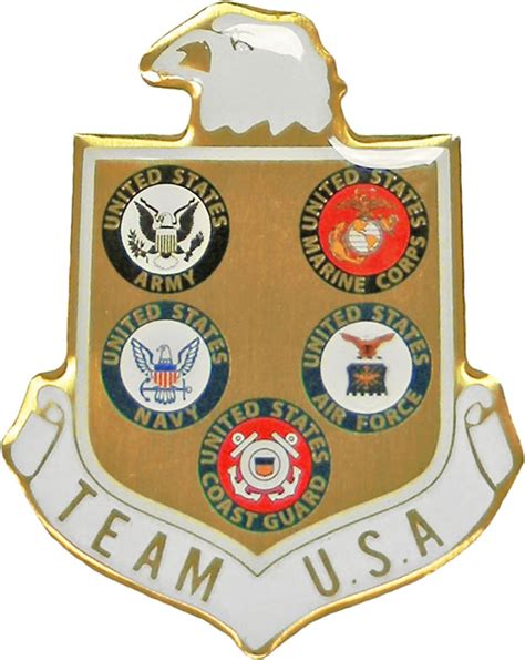 Team Usa Tack American Legion Flag And Emblem