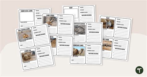 Desert Animal Adaptations Trading Card Templates Teach Starter