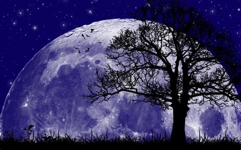Good Evening Moon By Beast Of The Beauty On Deviantart