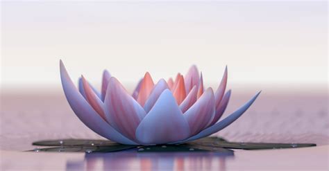 What Is The Meaning Of A Lotus Flower In Christianity