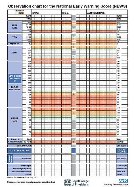 Download Hospital Observation Chart Gantt Chart Excel Template