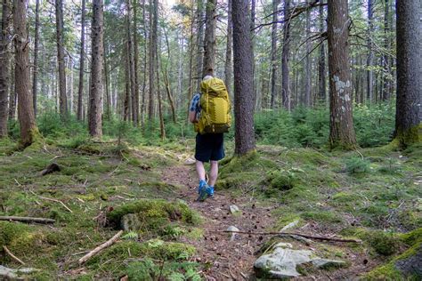 Cranberry Wilderness Loop Backpacking Guide — Into The Backcountry