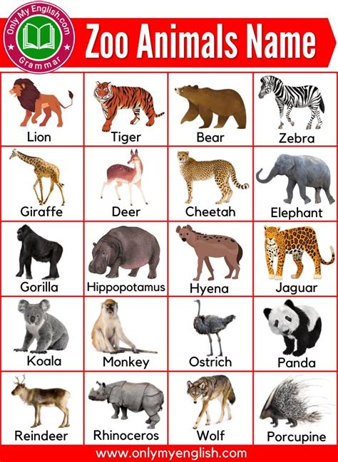 The Zoo Animals Name Chart Is Shown In Red And White With An Animals