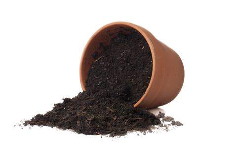 Free Cliparts Garden Soil Download Free Cliparts Garden Soil Png