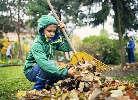 The Dos And Donts Of Cleaning Up Leaves Bob Vila