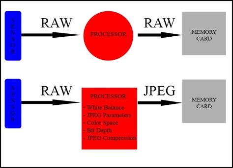 What is a jpg file? Choosing between RAW or JPEG - Photography Tutorial