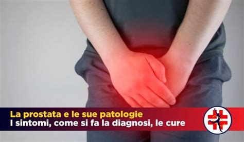 La Prostata E Le Sue Patologie Sintomi Diagnosi E Come Si Curano