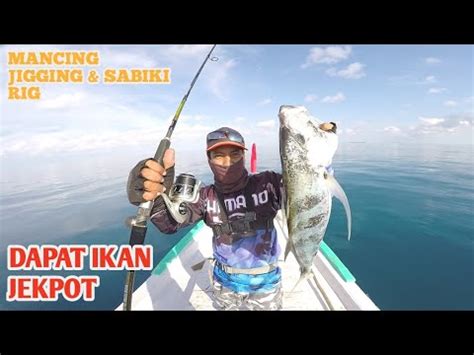 Pemeliharaan sistem pentahapan atau biasa disebut. Panen Ikan Putih ( Trevaly ) Dengan Menggunakan Teknik Jigging dan Sabiki Rig Di Laut Belitung ...