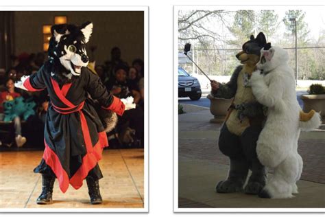 Furry Convention Coming To Crystal City