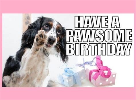 Quarantine birthday card, downloadable birthday card, digital card, printable birthday card, cute dog birthday card, pets birthday card, happy birthday card welcome and thanks for stopping by catchyprintables! Happy Birthday Memes Dog | Happy birthday dog meme, Happy ...