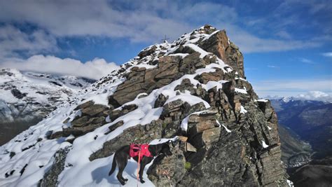 May 12, 2017 · hangerer hangerer. Bergtour mit Hund: Überschreitung Hangerer 3021 m ...