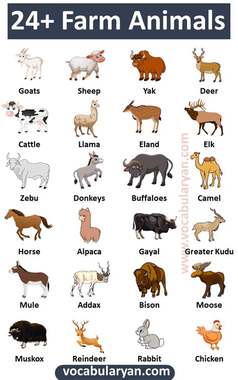 24 List Of Farm Animals Vocabulary Vocabularyan