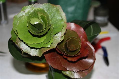Loved Making These Roses Out Of Galax Leaves Foliage Arrangements