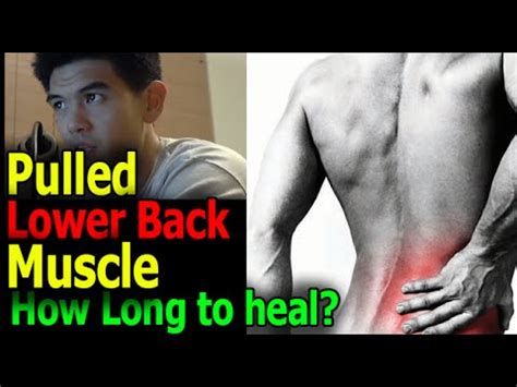 Yet, how long does it take for a pulled muscle to heal? How Long for a Pulled Muscle in Lower Back to Heal? [yahoo ...