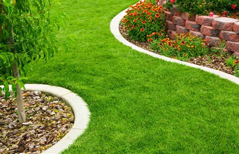 Curb Appeal with lawn care and landscaping by Lucky Landscaping