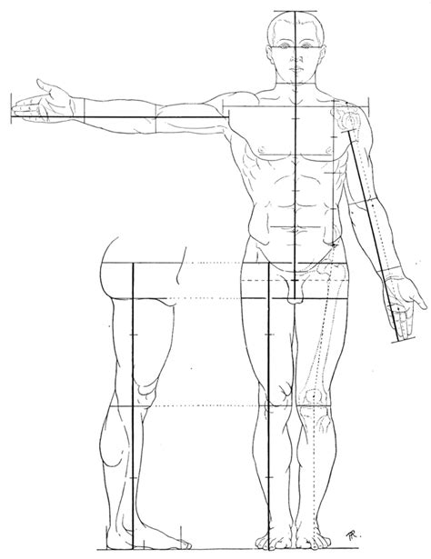 Medical Body Drawing At Getdrawings Free Download