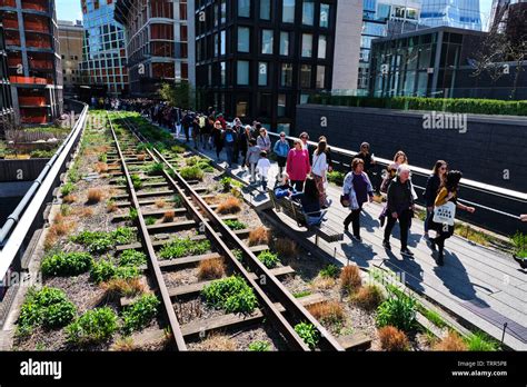 Pictured Is The High Line A 145 Mile Long Elevated Linear Park