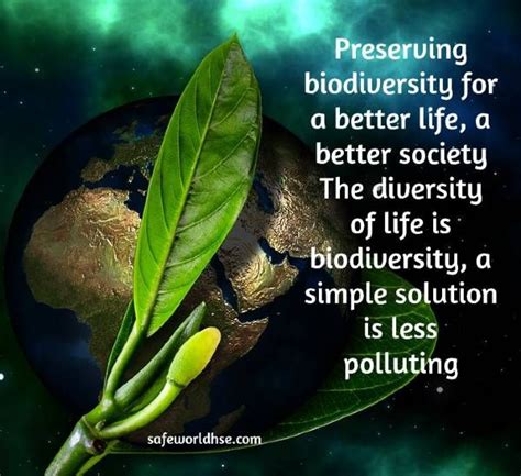 World Environment Day 2020 Best Slogans Images And Posters On