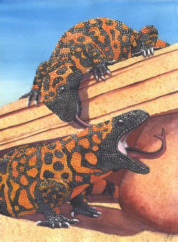 Find many great new & used options and get the best deals for gila monster by anita ganeri (hardback, 2011) at the best online prices at ebay! Pin on Art&Paintings I dig